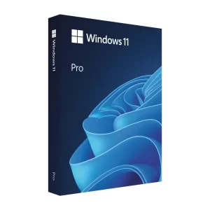 windows 11 pro