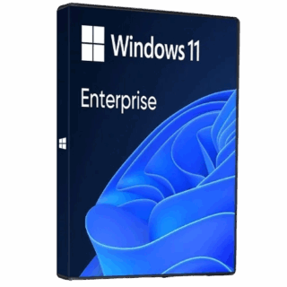 windows 11 enterprise
