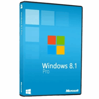 windows 8.1 Professional