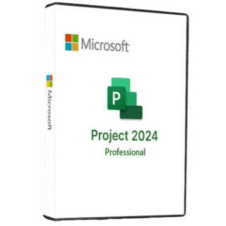 project 2024 pro