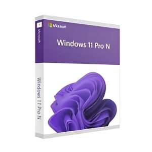 windows 11 pro n