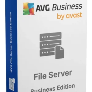AVG File Server Business